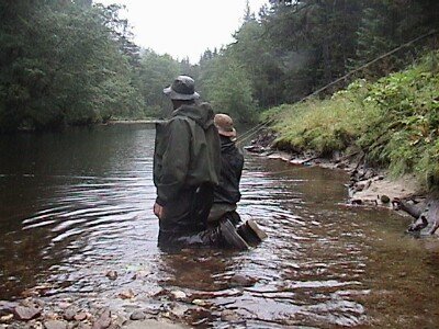 triumph river dry fly